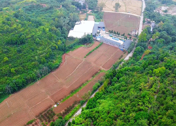 四川青泉饮品集团有限公司